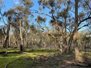 Murray Valley National Park