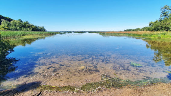 Lough Ennell