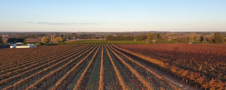 Renmark West