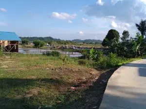 Wisata Sawah Betapus