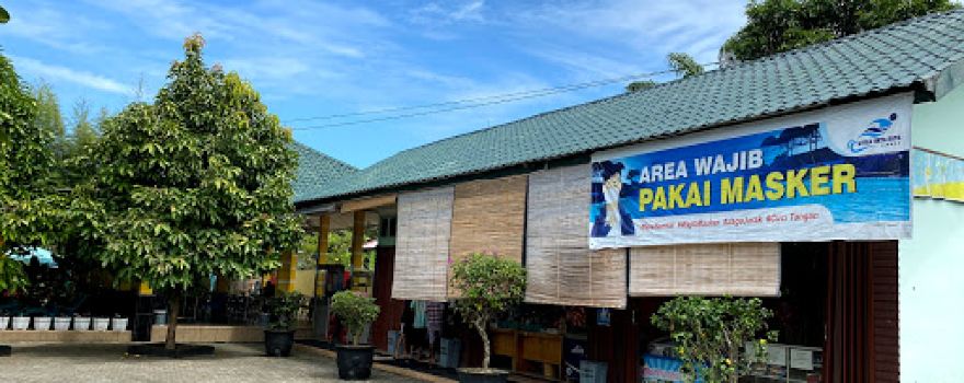 Water Park Virta Tirta