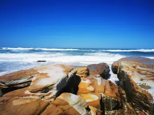 Cotton Tree Park