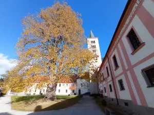 Milevsko Monastery