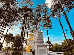 Linh Son Pagoda