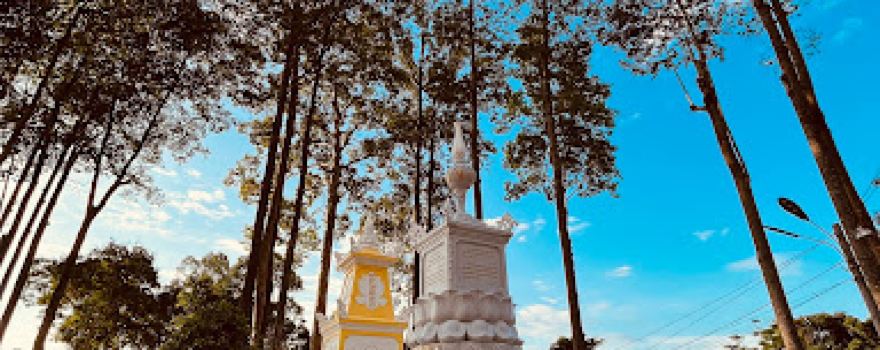 Linh Son Pagoda