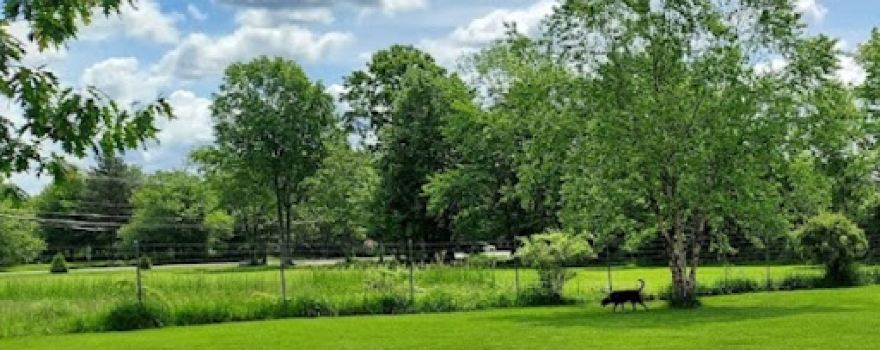 Bernards Twp Dog Run Park