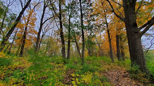 Furstenberg Nature Area