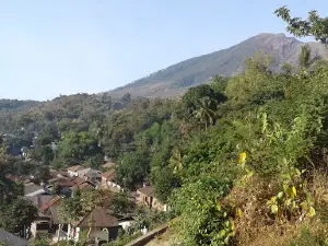 탱가 세리부