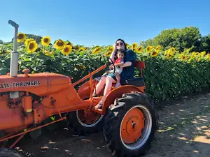Green Barn Garden Center