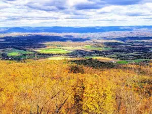 Scenic Overlook Buchanan State Forest