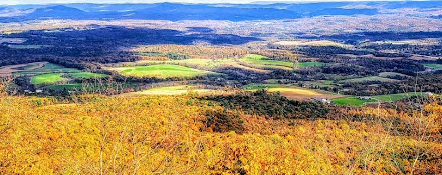 Scenic Overlook Buchanan State Forest