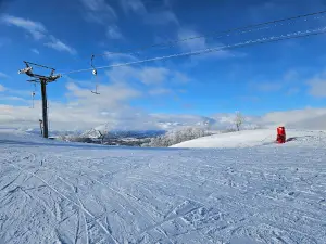 Holtardalen