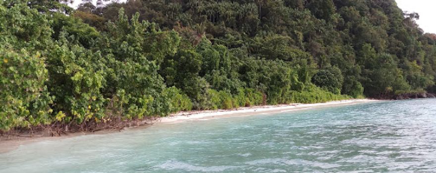 Pulau Merak