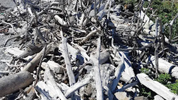 ADDA Fundy Tides Campground & Restaurant