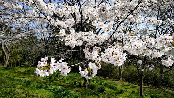 Tateyama Park