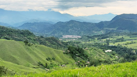 Jardín
