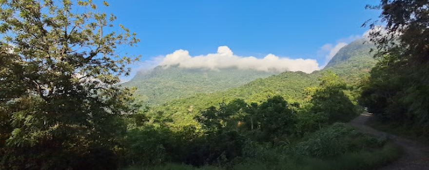 Tamaya Ahuehuetitla
