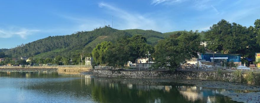 Bau sen Forest Park