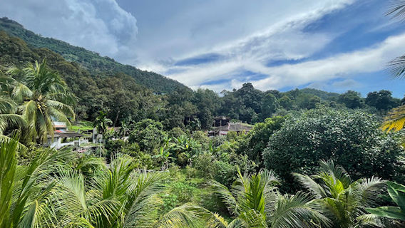 Balik Pulau