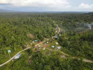 Taman Kota Bintuni
