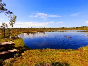 Kalnansu Swamp Trail