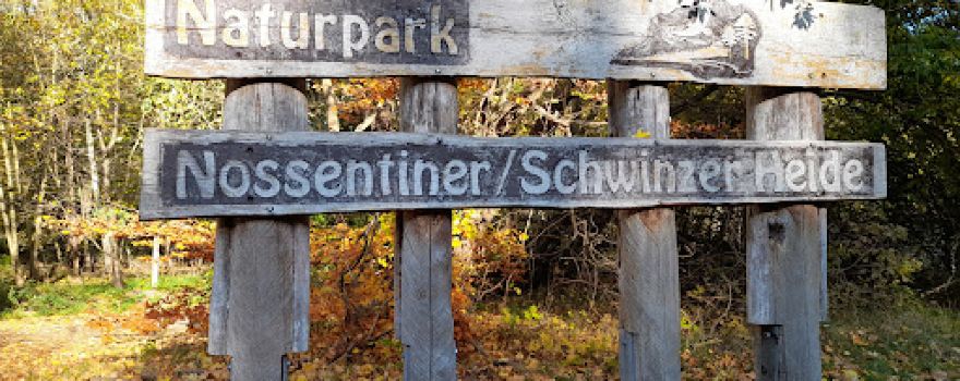 Aussichtsturm Goldberg