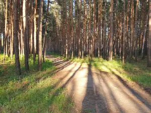 Kayalov Bor - Ekopark