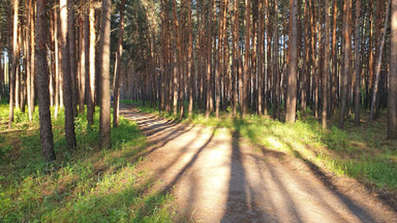 Kayalov Bor - Ekopark