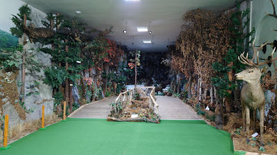 The Teleajen Valley Nature Museum (Muzeul Natura Văii Teleajenului)