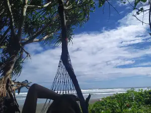 Pantai Seluma