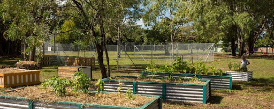 Holloways Beach Community Garden