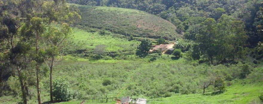 Estrada da Mata