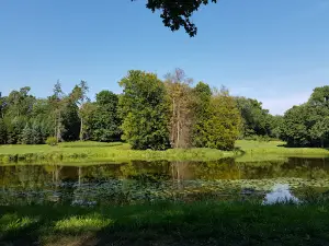 Muzeum Leśnictwa – Ochrona lasu