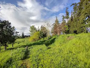 Legion Park