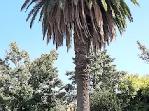 Plaza San Martin
