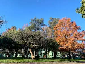 Plaza Independencia