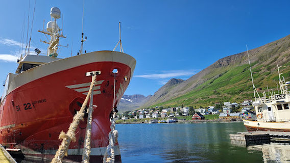 Harbor view