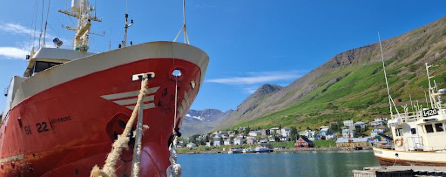 Harbor view
