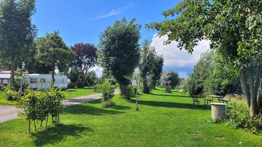 campingstuhl sonnendach OVERMONT Faltbar mit - Strandstuhl Klappbar mit Getränkehalter Kühlbeutel - Sonnenliege mit Dach für Outdoor Camping Angeln Garten Blaugrau Wähle Deine Größe:41 New Look – Handschuhe UPC : 8525710082198