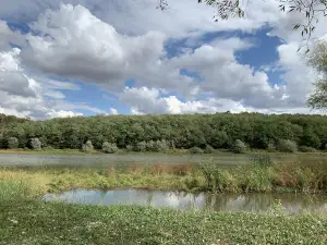 Lacul Cetariu(Valea Vițeilor)