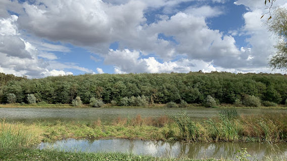 Lacul Cetariu(Valea Vițeilor)