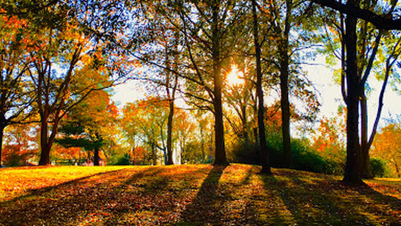 James McDonnell County Park
