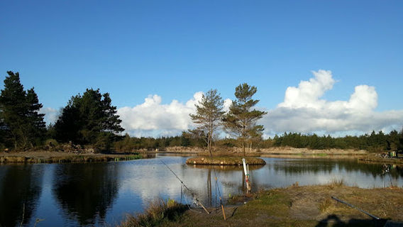 Ho Fiskesø og minigolf