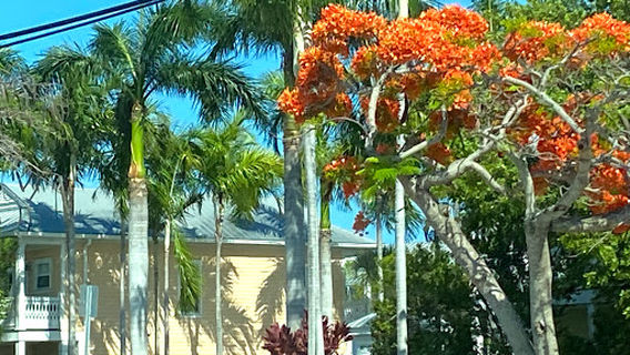 Key Largo