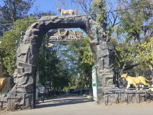 Sasan Gir Museum