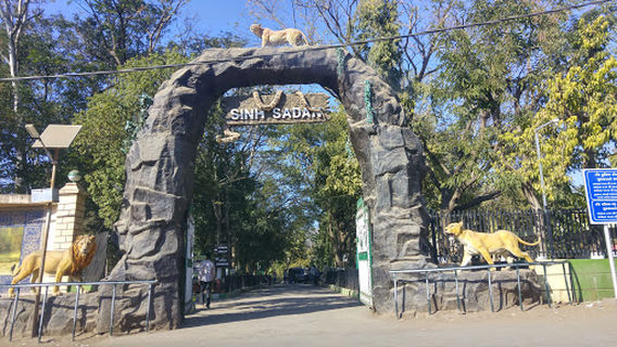 Sasan Gir Museum