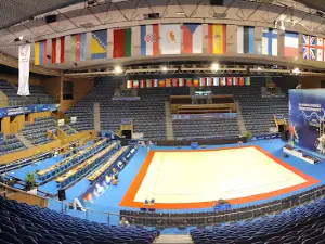 Palace of Culture and Sports