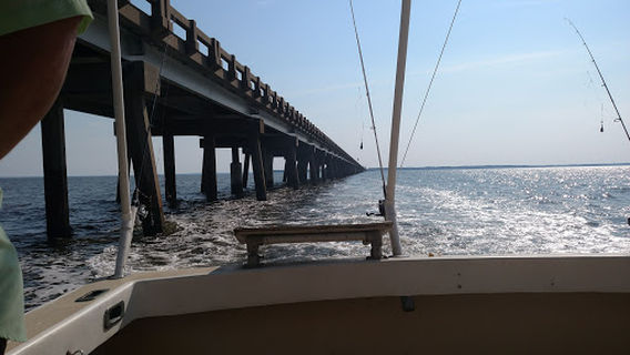 Jawfly Charters