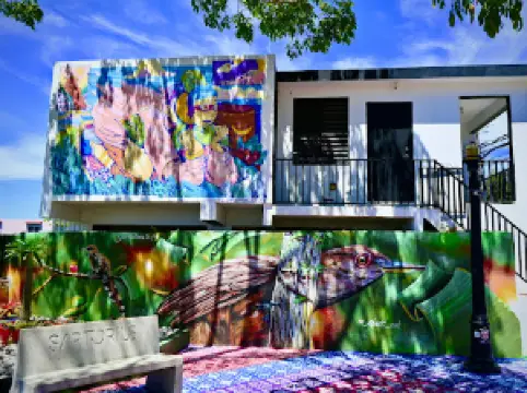 Árbol tejido de Yauco