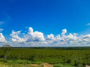 Mirador Av Verdolago Park
